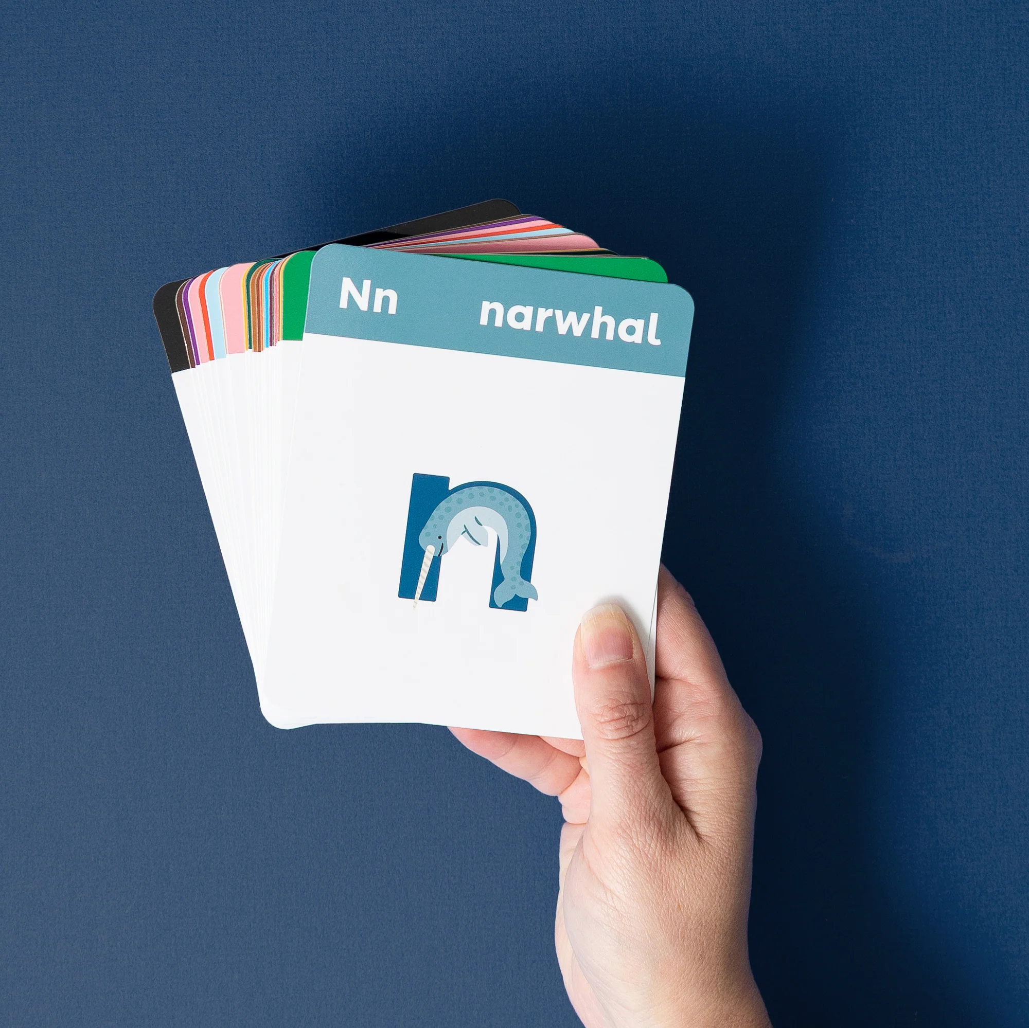 Animals A to Z Alphabet Flashcards - Image 13