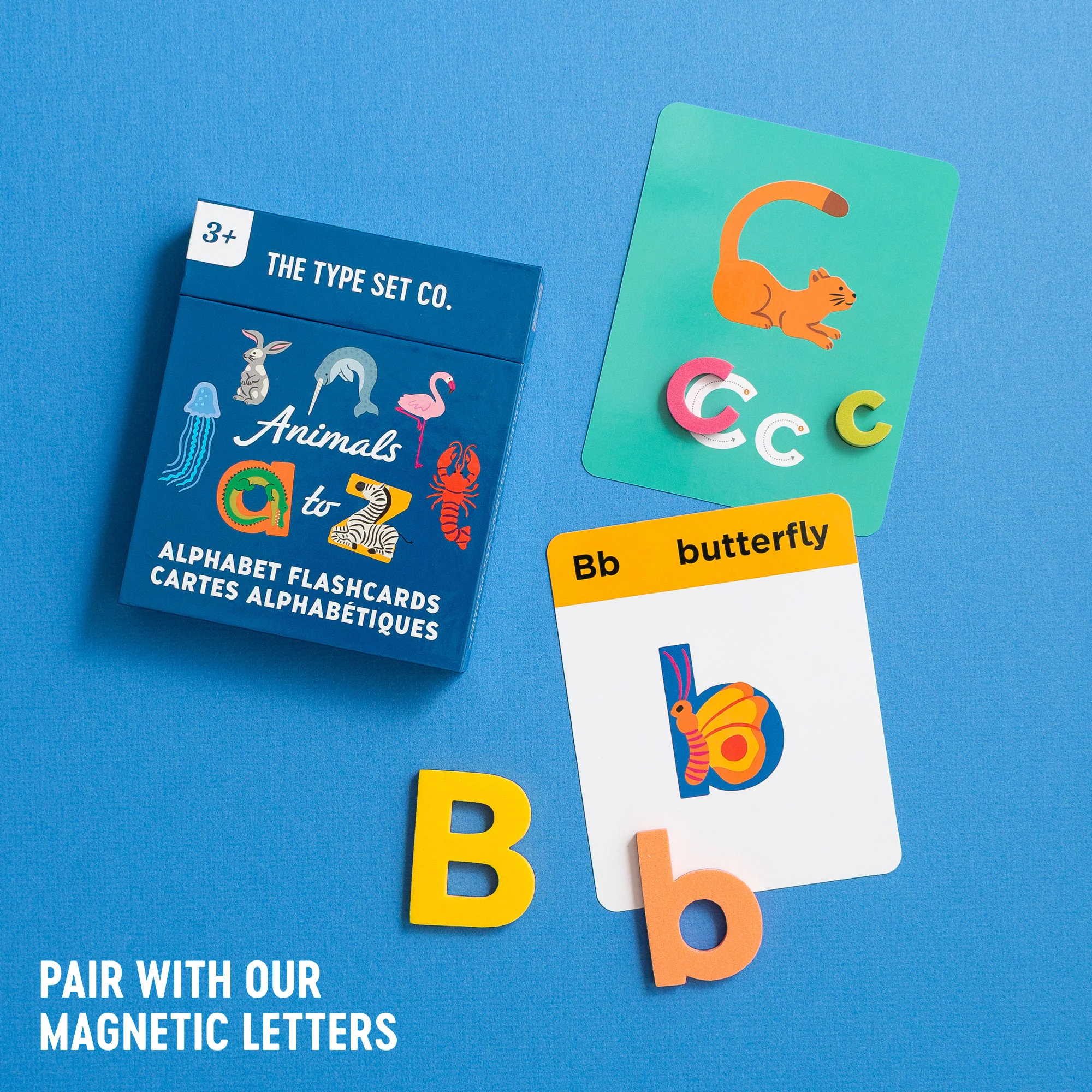 Animals A to Z Alphabet Flashcards - Image 4