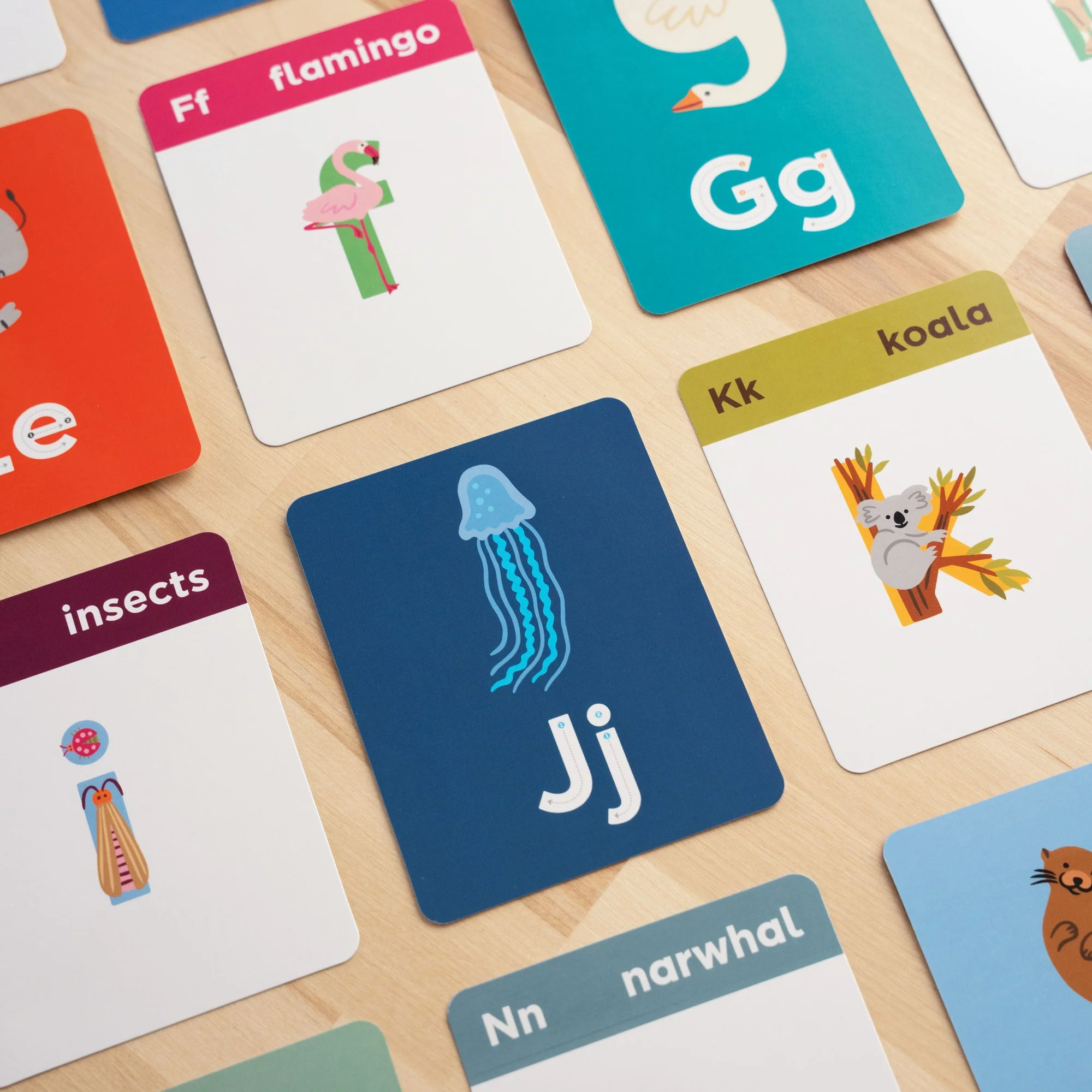 Animals A to Z Alphabet Flashcards - Image 9