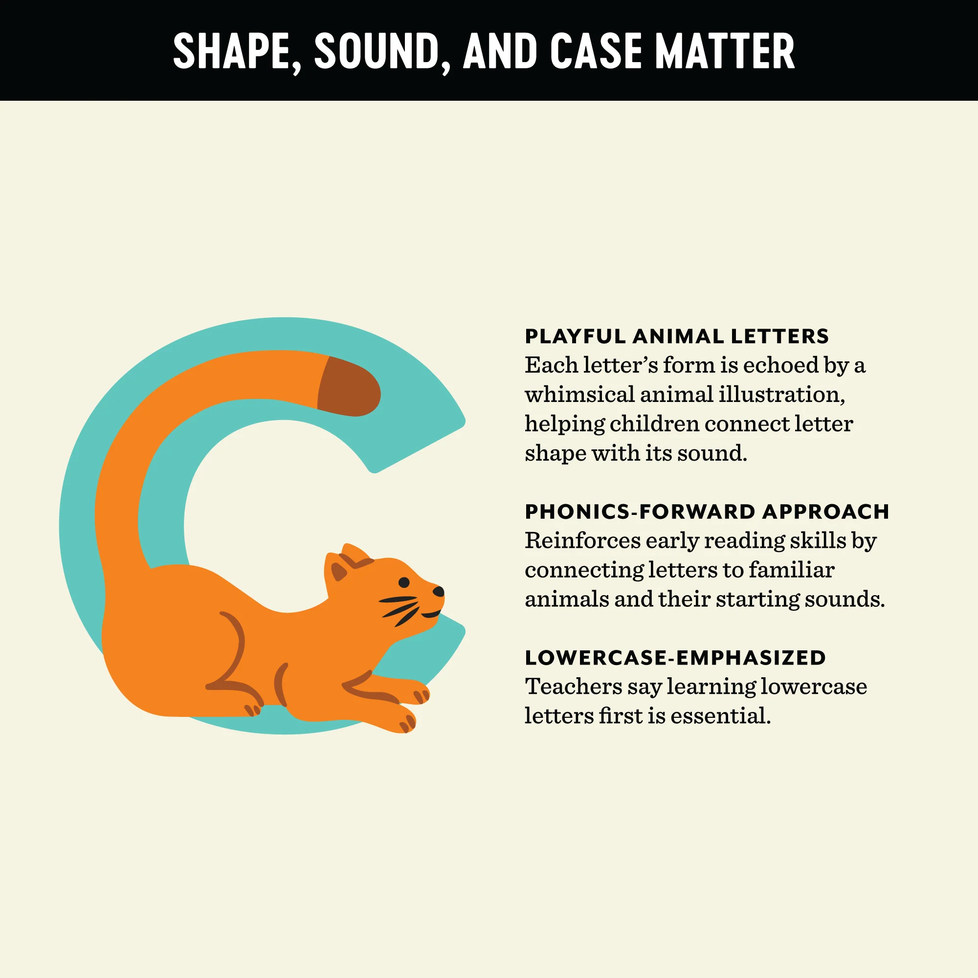 Modern A to Z Animal Alphabet Art Print - Image 9