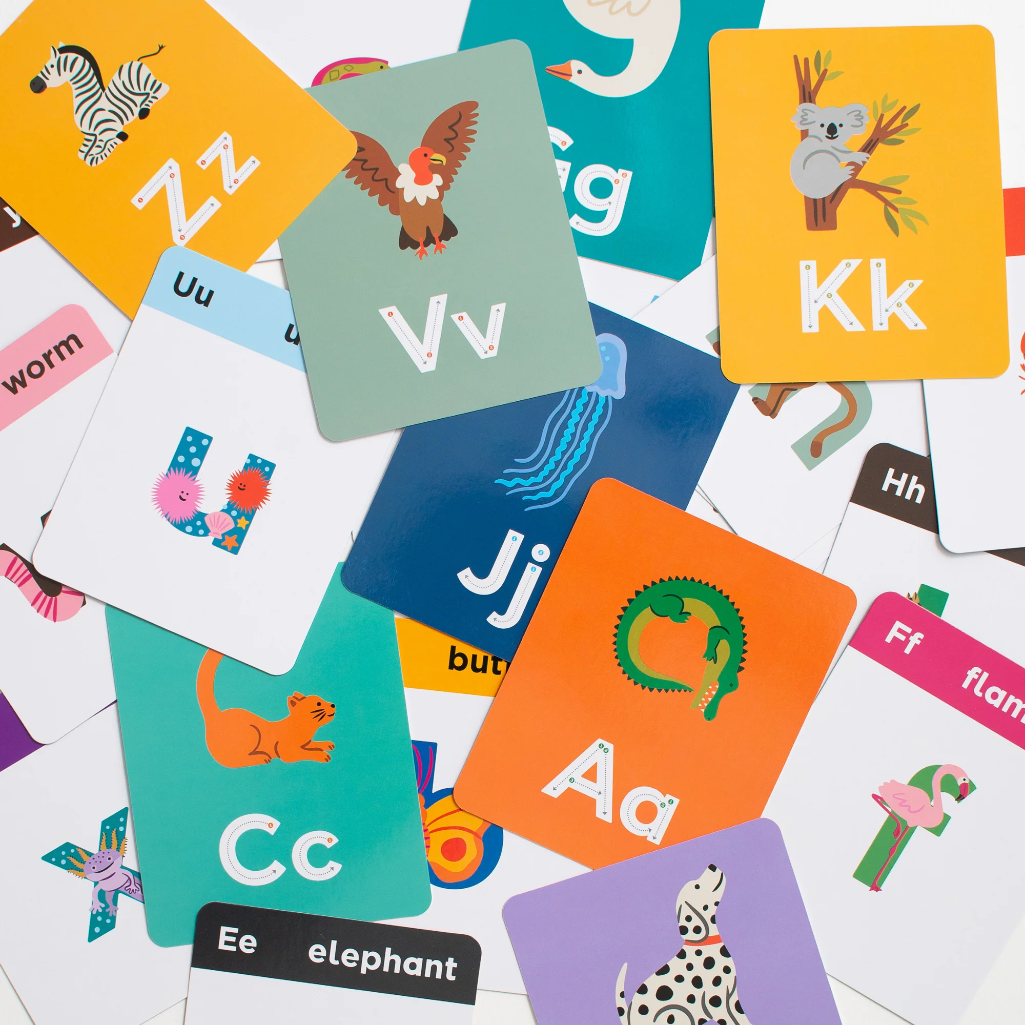 Animals A to Z Alphabet Flashcards - Image 15