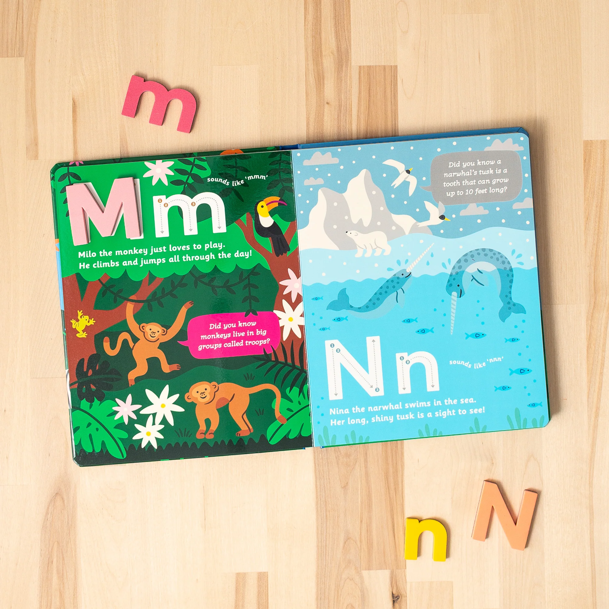 Curious Creatures from A to Z: An Animal Alphabet Adventure SIGNED COPY - Image 4