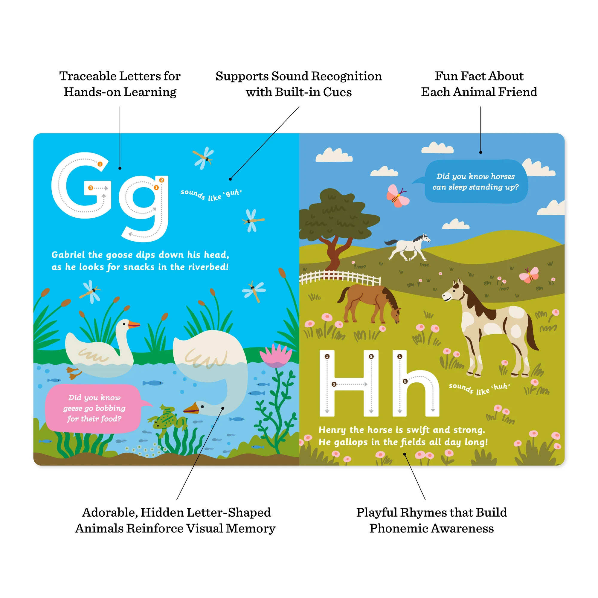 Curious Creatures from A to Z: An Animal Alphabet Adventure SIGNED COPY - Image 6